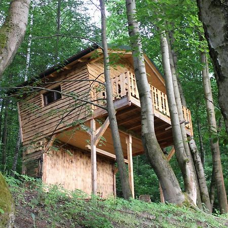 Treehouse Velké Losiny Εξωτερικό φωτογραφία