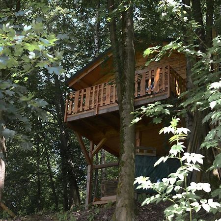 Treehouse Velké Losiny Εξωτερικό φωτογραφία