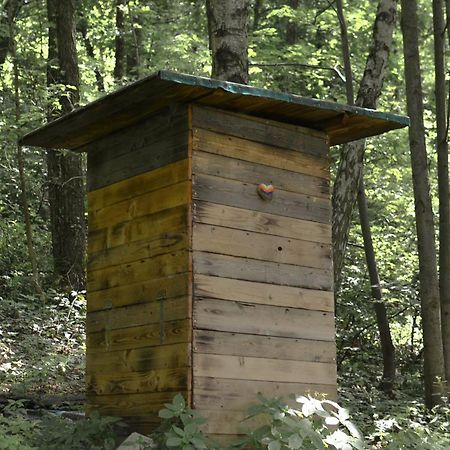 Treehouse Velké Losiny Εξωτερικό φωτογραφία