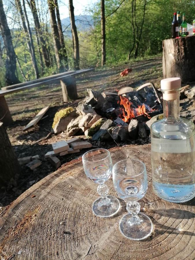 Treehouse Velké Losiny Εξωτερικό φωτογραφία