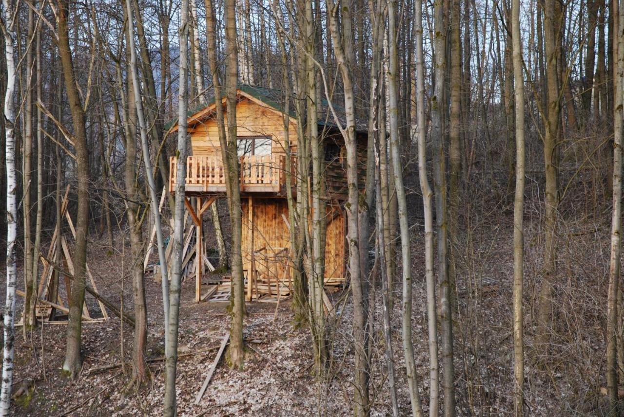 Treehouse Velké Losiny Εξωτερικό φωτογραφία