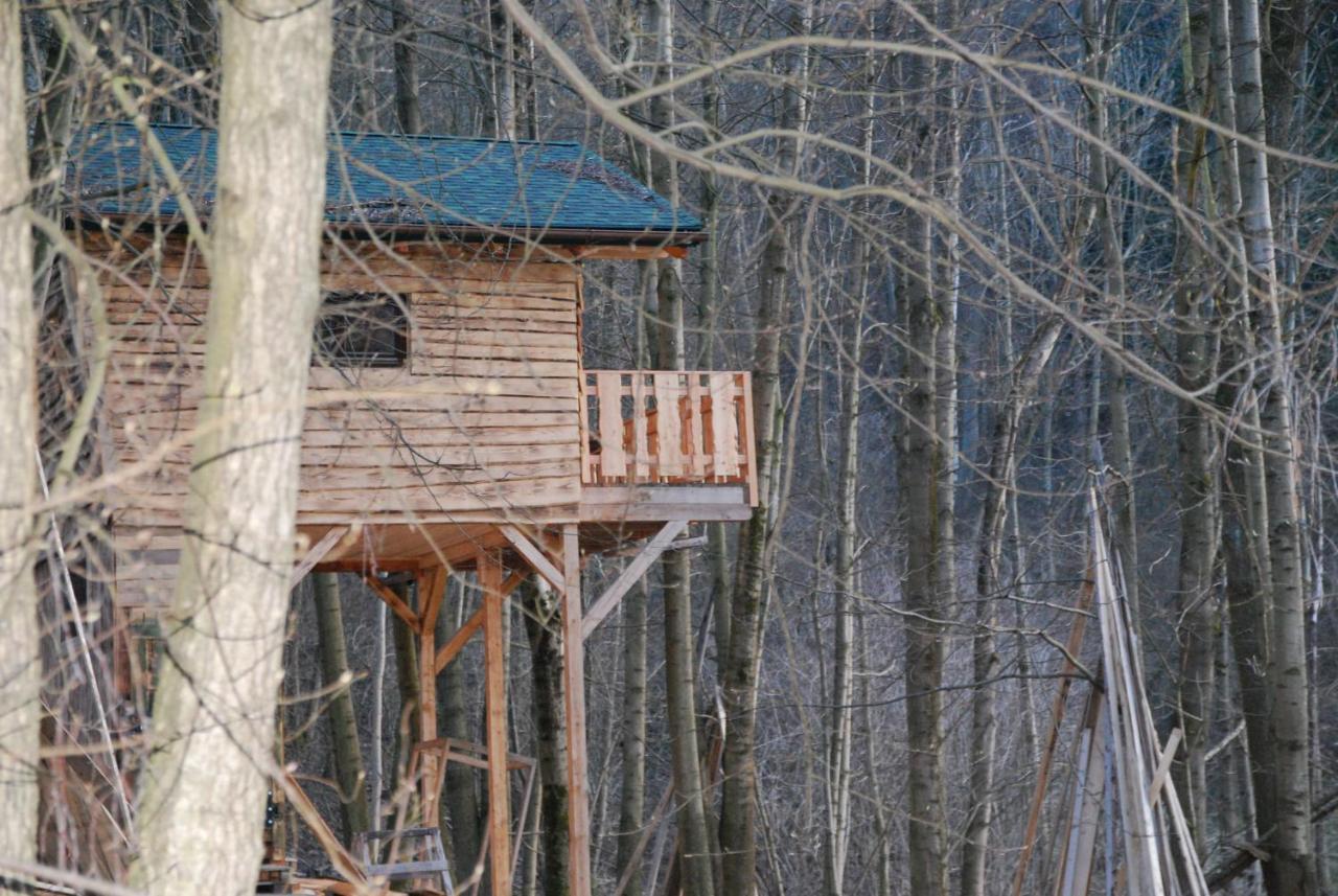 Treehouse Velké Losiny Εξωτερικό φωτογραφία