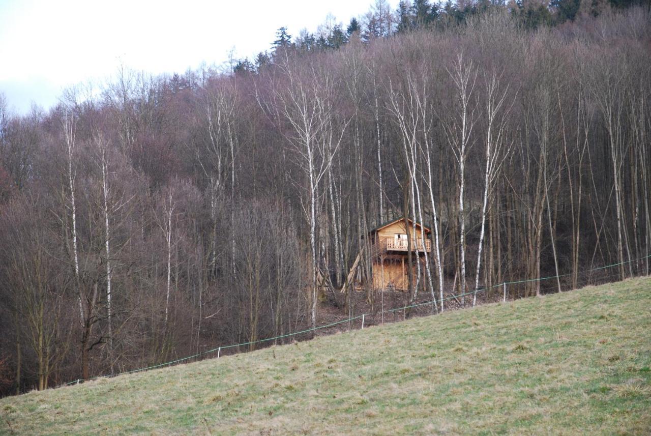 Treehouse Velké Losiny Εξωτερικό φωτογραφία