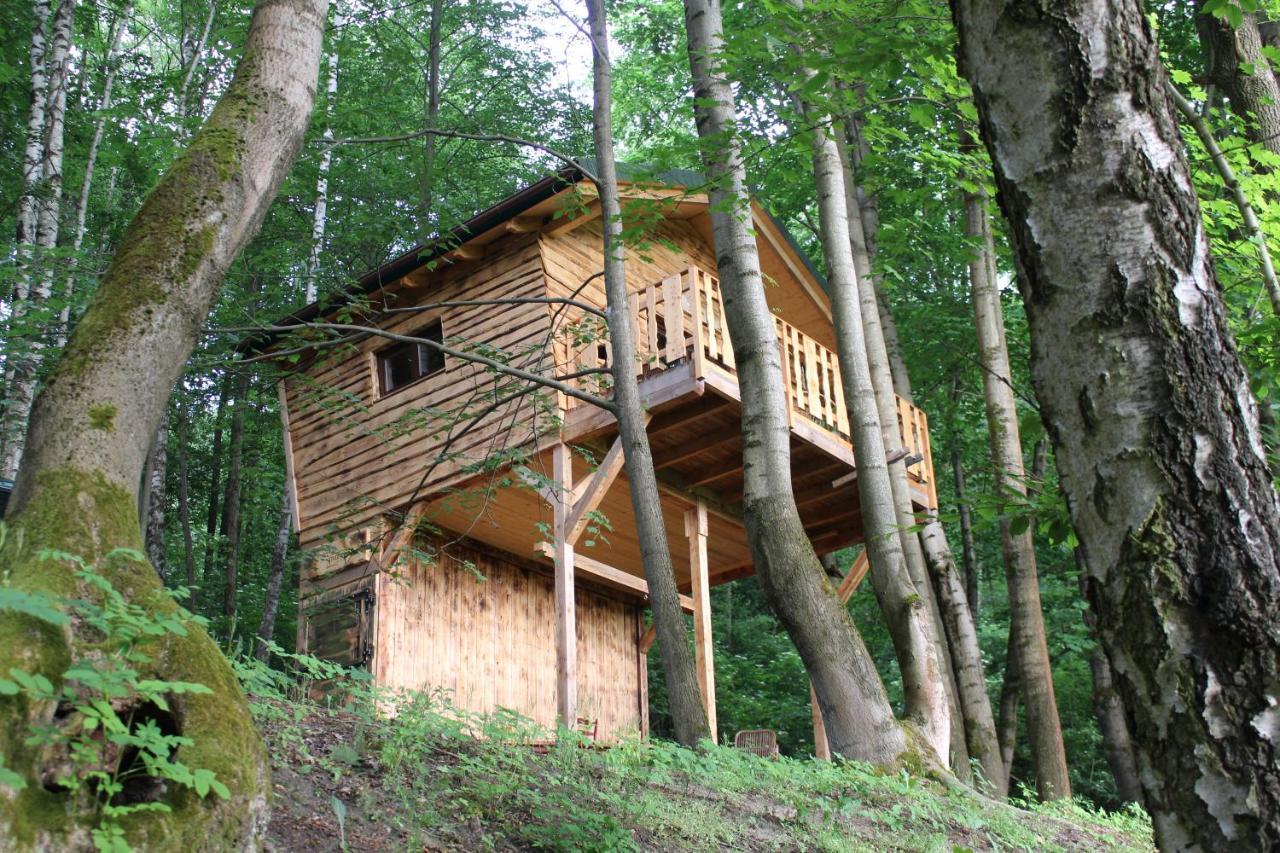 Treehouse Velké Losiny Εξωτερικό φωτογραφία