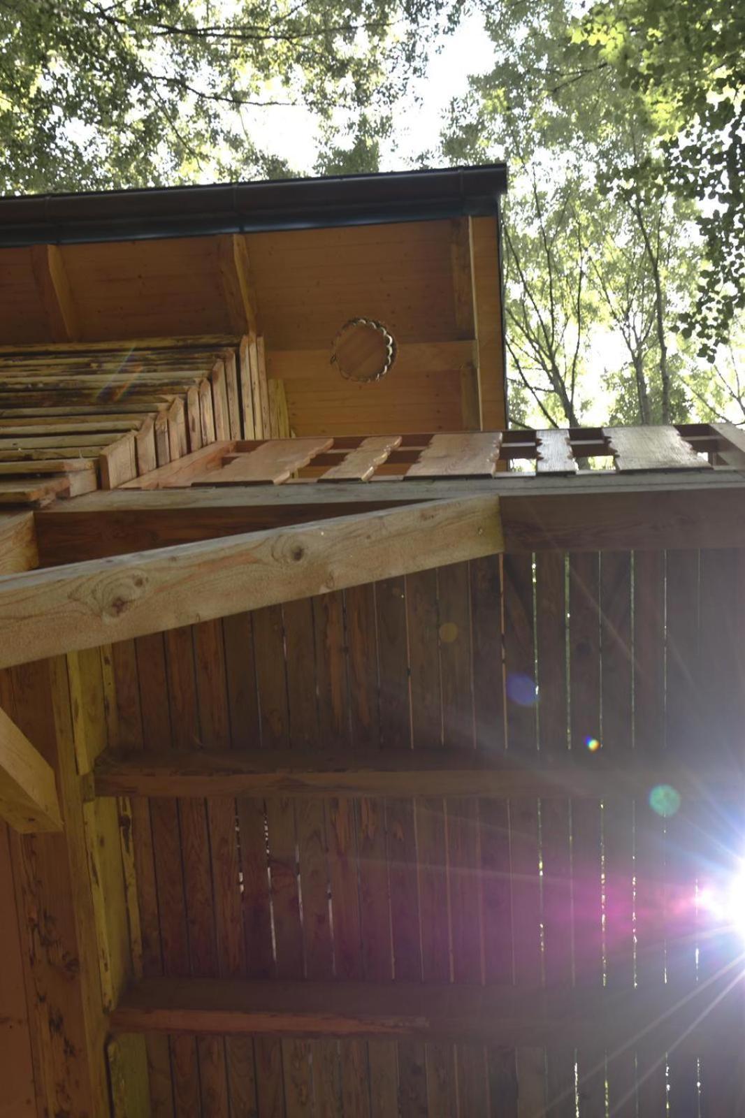 Treehouse Velké Losiny Εξωτερικό φωτογραφία