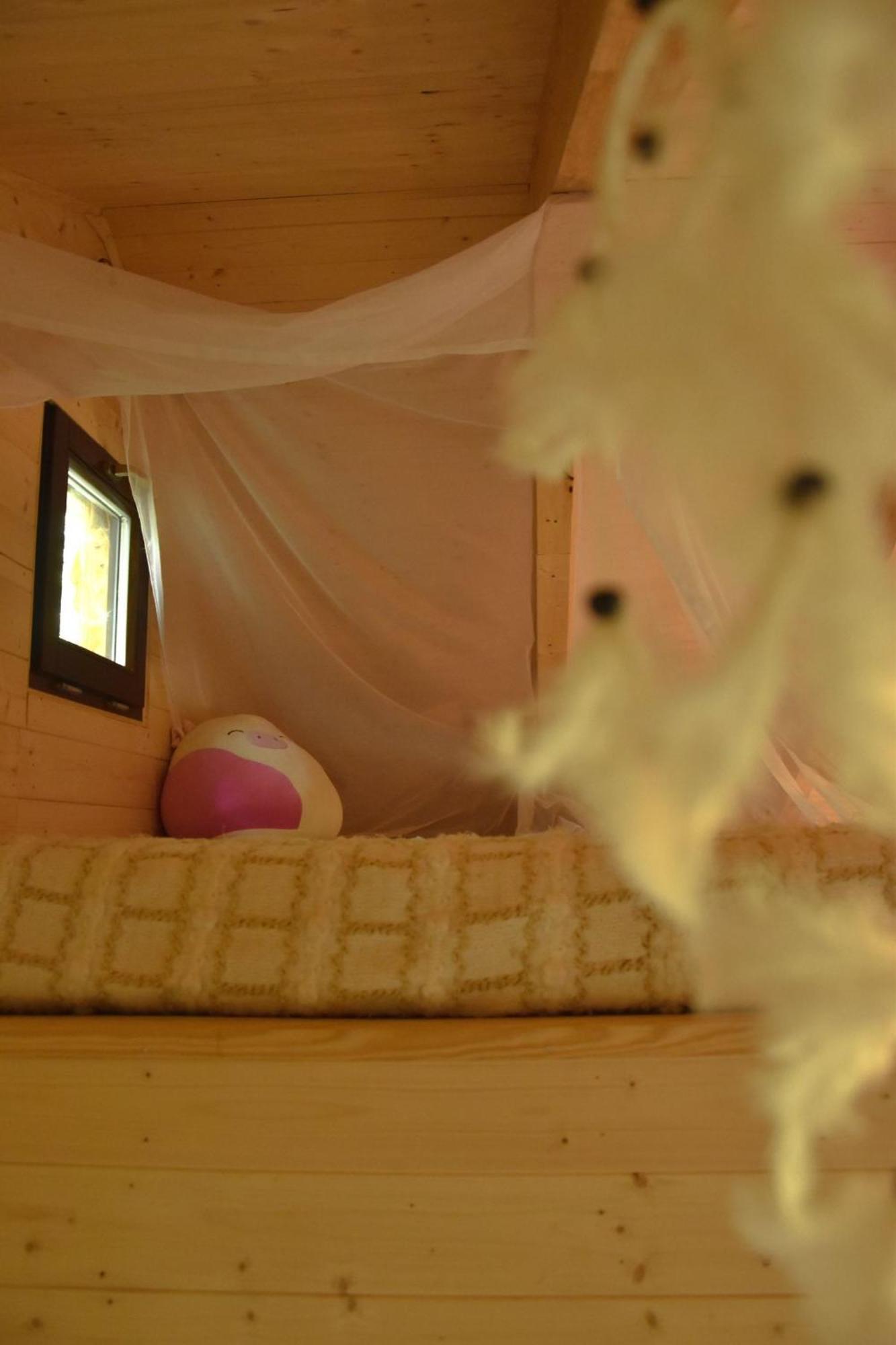 Treehouse Velké Losiny Εξωτερικό φωτογραφία