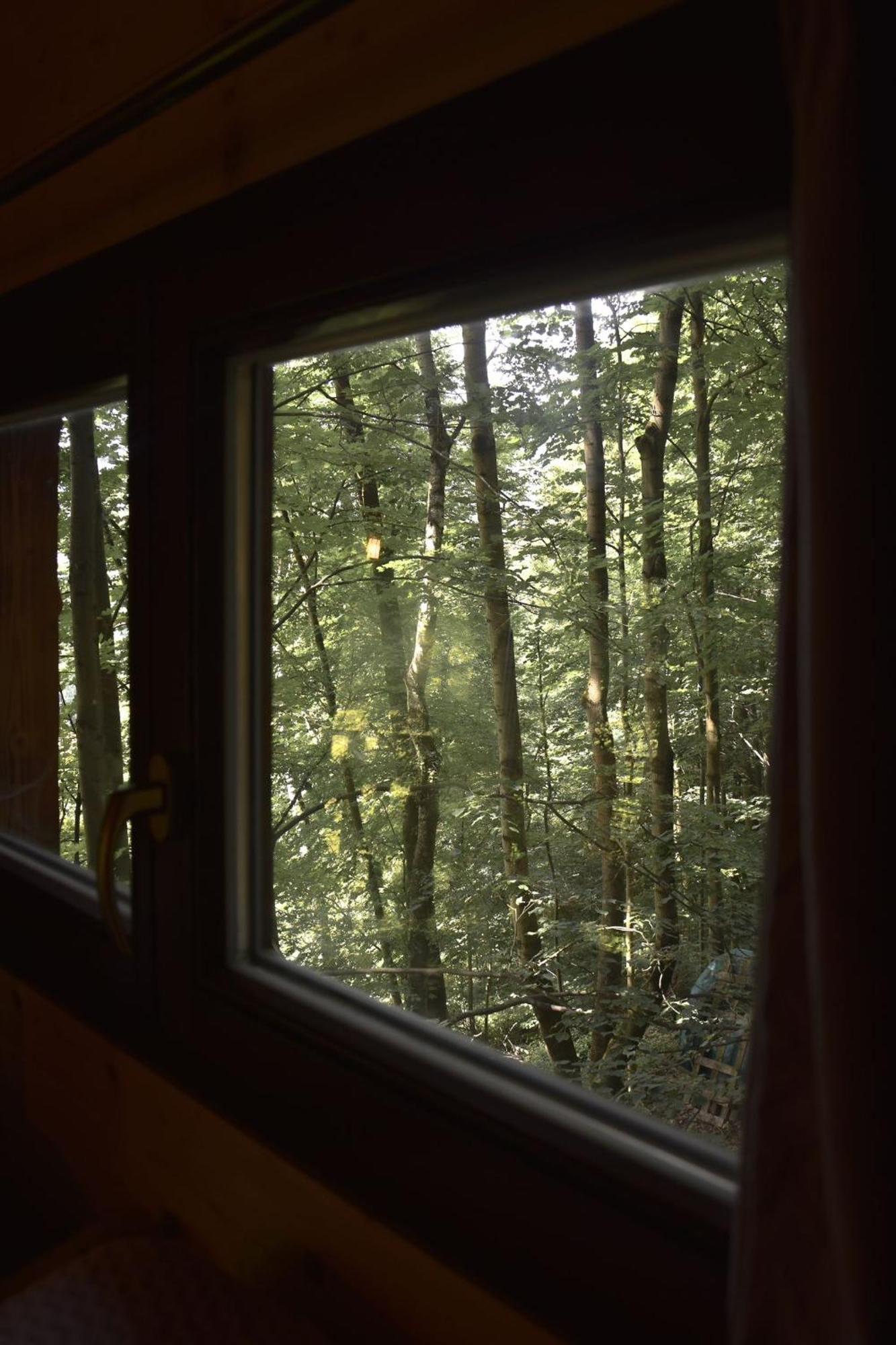 Treehouse Velké Losiny Εξωτερικό φωτογραφία